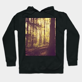 She Could Hear Summer Leaving Hoodie